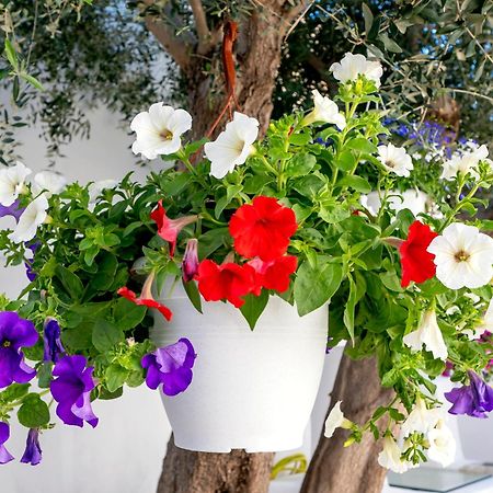 Villa Del Capo Suites Rhodes City Eksteriør billede