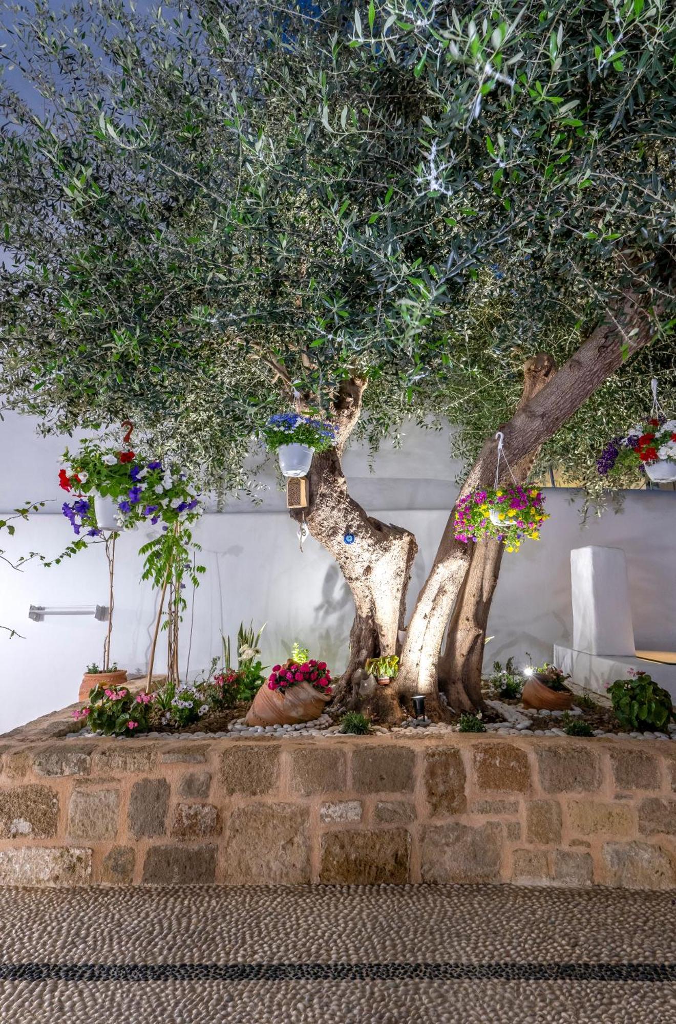 Villa Del Capo Suites Rhodes City Eksteriør billede