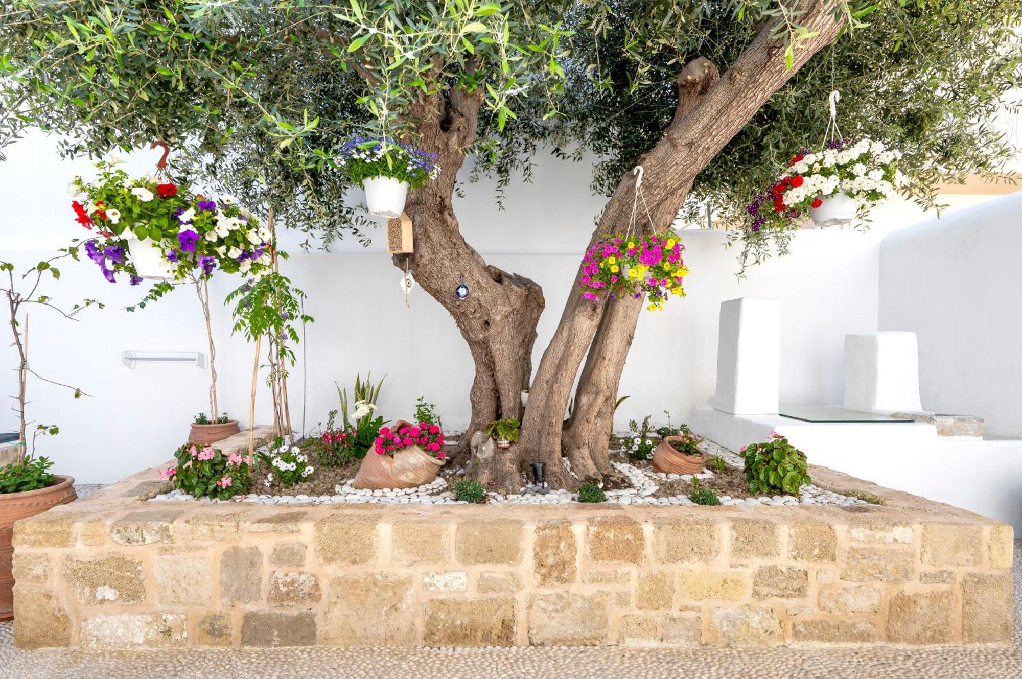 Villa Del Capo Suites Rhodes City Eksteriør billede